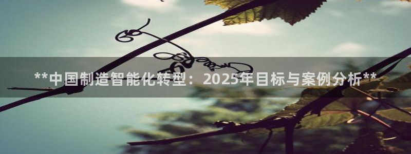 彩神8彩平台官网：**中国制造智能化转型：2025年目标与案例分析**