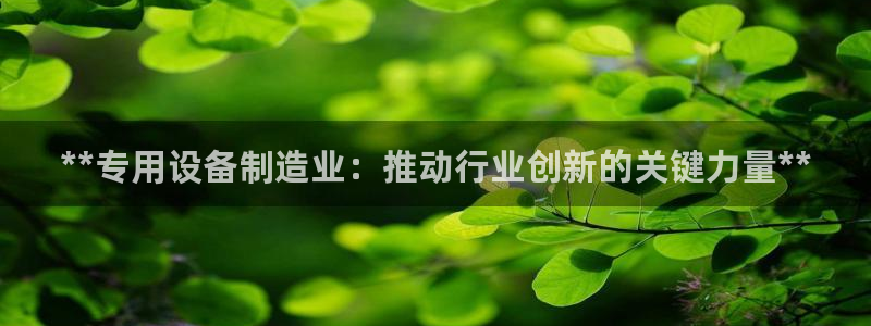 彩神的邀请码是多少：**专用设备制造业：推动行业创新的关键力量**