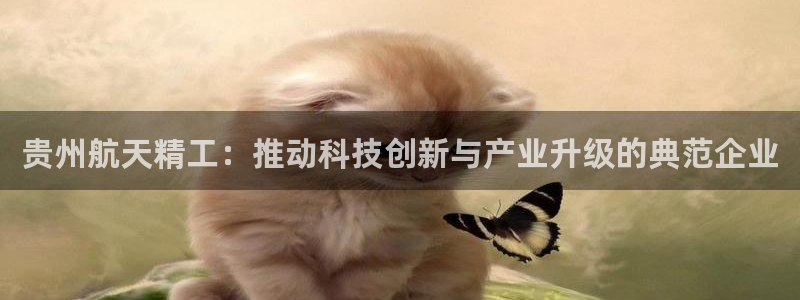 彩神v8平台正规吗可靠吗：贵州航天精工：推动科技创新与产业升级的典范企业