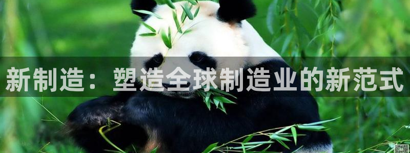 彩神iv能赚钱吗：新制造：塑造全球制造业的新范式