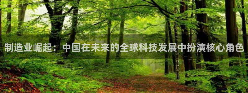 下载彩神争霸谁与我争锋：制造业崛起：中国在未来的全球科技发展中扮演核心角色