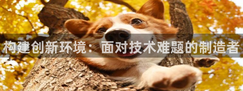 彩神vllⅰ购彩大厅：构建创新环境：面对技术难题的制造者