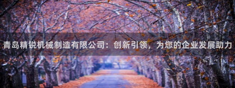 彩神平台之间是什么关系：青岛精锐机械制造有限公司：创新引领，为您的企业发展助力
