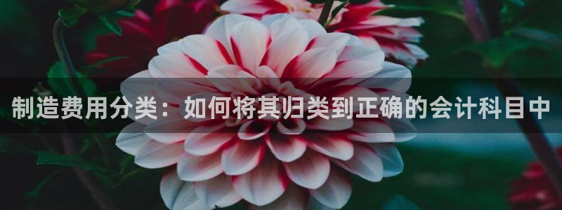 彩神ii官方网：制造费用分类：如何将其归类到正确的会计科目中