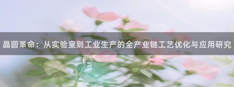 彩神盈利图片：晶圆革命：从实验室到工业生产的全产业链工艺优化与应用研究