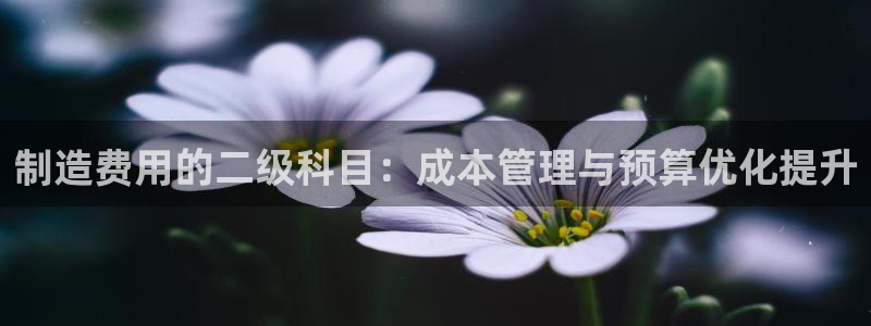彩神v集团有限公司：制造费用的二级科目：成本管理与预算优化提升
