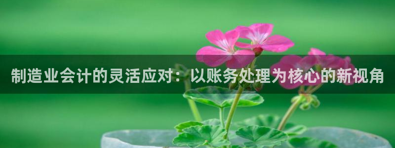 彩神v8iii：制造业会计的灵活应对：以账务处理为核心的新视角