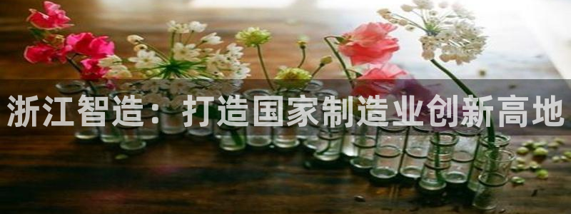 彩神8app官方下载：浙江智造：打造国家制造业创新高地