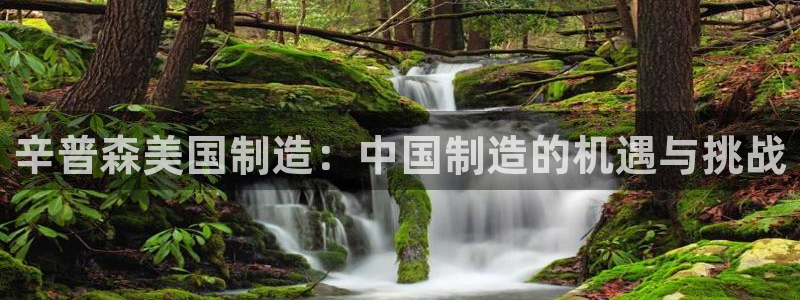 彩神VI首页：辛普森美国制造：中国制造的机遇与挑战