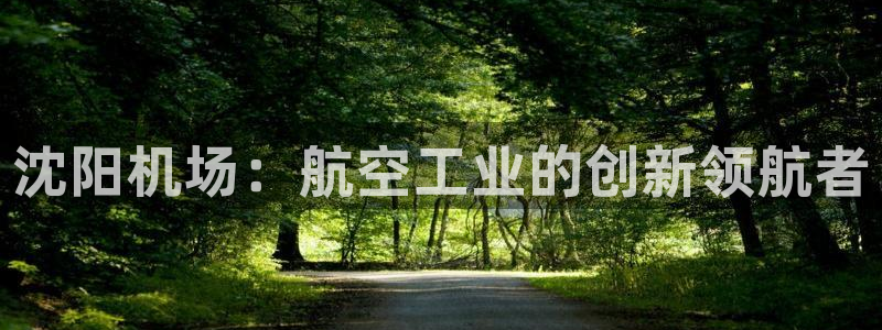 大发彩神争：沈阳机场：航空工业的创新领航者