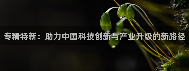 彩神8最新版下载：专精特新：助力中国科技创新与产业升级的新路径