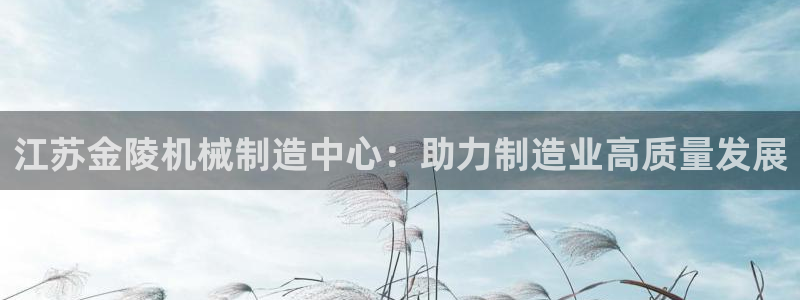 彩神vip购彩大厅：江苏金陵机械制造中心：助力制造业高质量发展