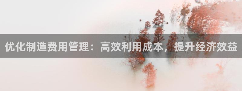 彩神8是正规平台吗是正品吗：优化制造费用管理：高效利用成本，提升经济效益