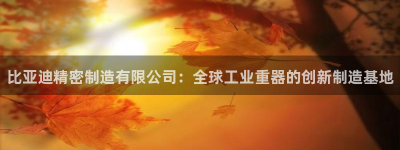 彩神v8是真的挣钱吗安全吗：比亚迪精密制造有限公司：全球工业