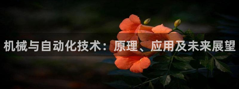 下载彩神v8：机械与自动化技术：原理、应用及未来展望