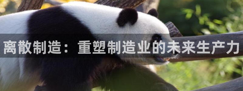 彩神v秘聊号码：离散制造：重塑制造业的未来生产力