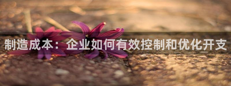 彩神争霸官方下载：制造成本：企业如何有效控制和优化开支