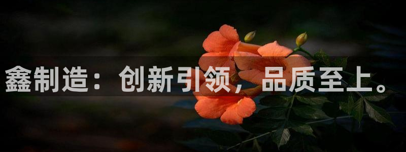 彩神平台是什么套路：鑫制造：创新引领，品质至上。