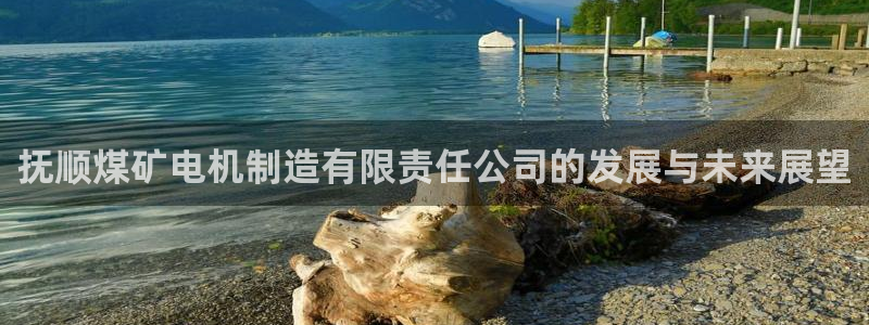 有谁知道彩神争霸的网址：抚顺煤矿电机制造有限责任公司的发展与