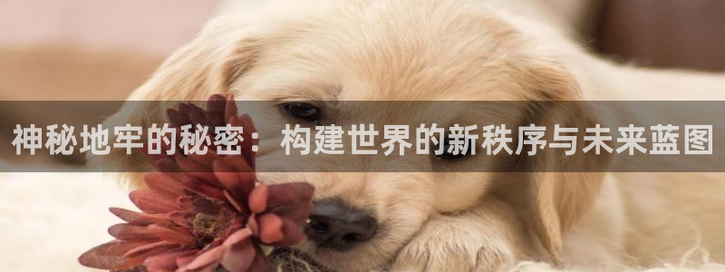 彩神购彩-购彩大厅入口下载：神秘地牢的秘密：构建世界的新秩序与未来蓝图