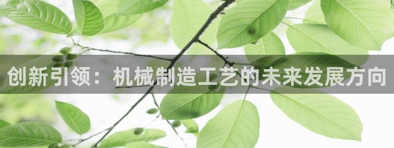 彩神viii是正规平台吗?：创新引领：机械制造工艺的未来发展方向