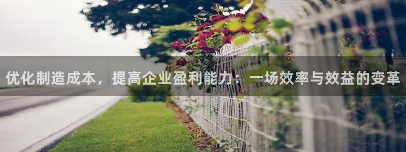 彩神iv真的能赚钱吗：优化制造成本，提高企业盈利能力：一场效率与效益的变革