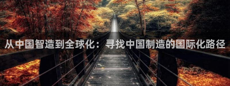 彩神平台可以破解吗：从中国智造到全球化：寻找中国制造的国际化路径