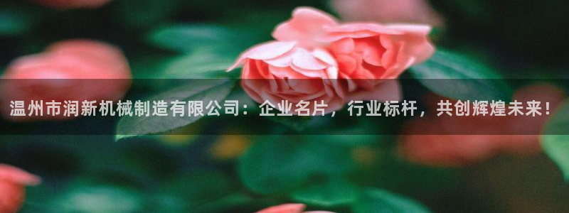 v彩神88iii：温州市润新机械制造有限公司：企业名片，行业