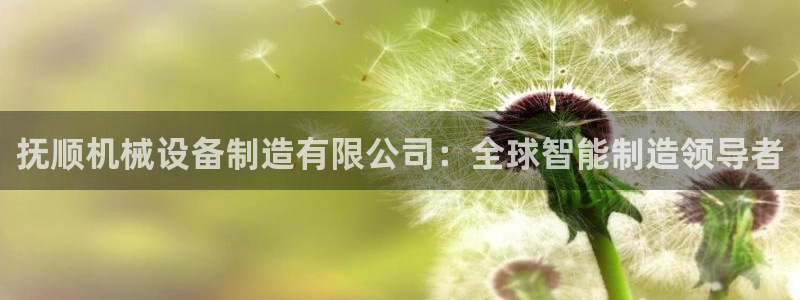 彩神大发cp：抚顺机械设备制造有限公司：全球智能制造领导者