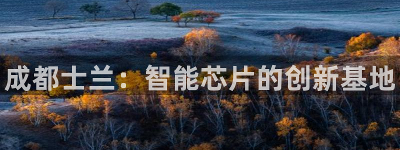 彩神vlll游戏特色：成都士兰：智能芯片的创新基地