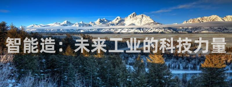 彩神VI首页：智能造：未来工业的科技力量