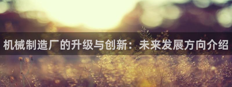 彩神可以提现吗：机械制造厂的升级与创新：未来发展方向介绍