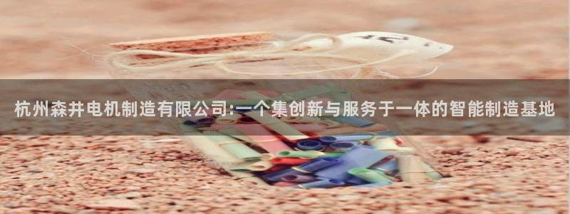 大发彩神争：杭州森井电机制造有限公司:一个集创新与服务于一体