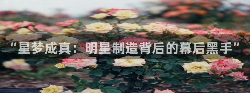 彩神团队是真的吗：“星梦成真：明星制造背后的幕后黑手”