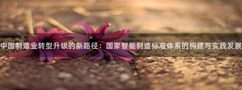 彩神v8iii：中国制造业转型升级的新路径：国家智能制造标准