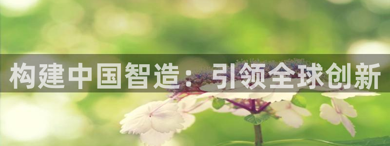 彩神广告有限公司：构建中国智造：引领全球创新