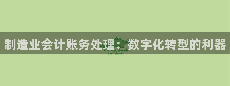 彩神Vll购彩大厅：制造业会计账务处理：数字化转型的利器