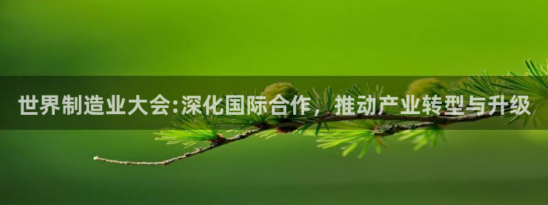 彩神v争霸有限公司：世界制造业大会:深化国际合作，推动产业转型与升级