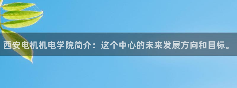 彩神vl购彩大厅：西安电机机电学院简介：这个中心的未来发展方向和目标。