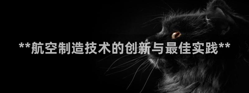 彩神v8首页：**航空制造技术的创新与最佳实践**