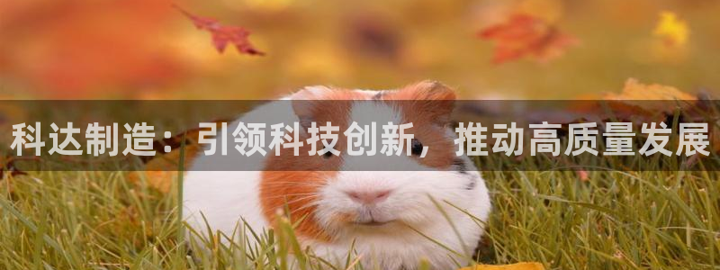 彩神用户登录：科达制造：引领科技创新，推动高质量发展