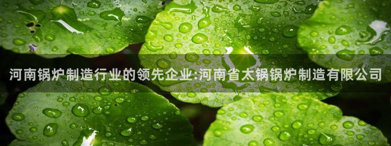 彩神V集团公司：河南锅炉制造行业的领先企业:河南省太锅锅炉制造有限公司