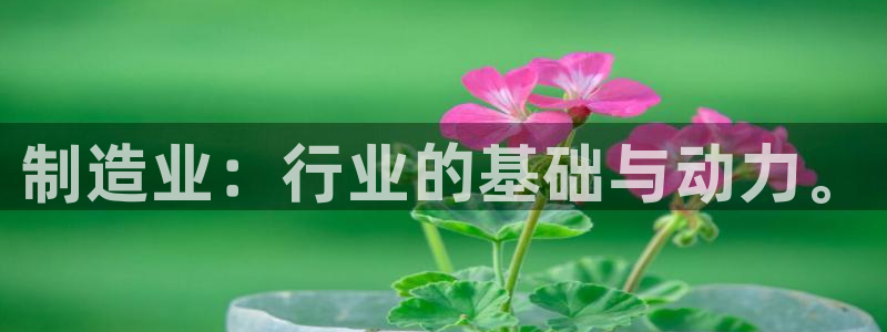 彩神 好 平台：制造业：行业的基础与动力。