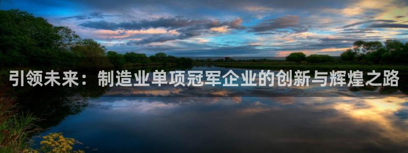 彩神ⅴll是什么样平台：引领未来：制造业单项冠军企业的创新与辉煌之路