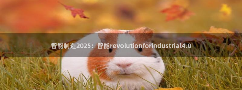 彩神趣购彩用户注册：智能制造2025：智能revolutionforindustrial4.0